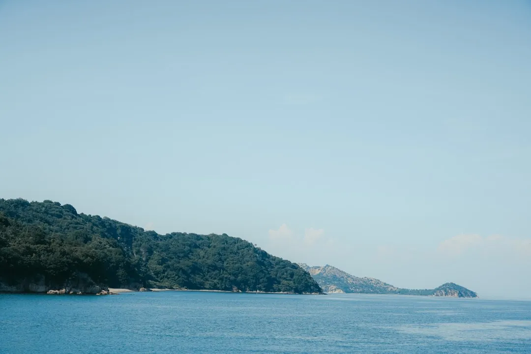 海南企业品牌推广策略:从策略到落地的整合营销方案解析正文配图 2